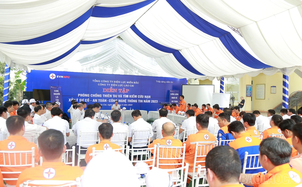 baolaocai_dientap (5).JPG