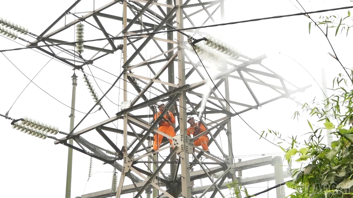 baolaocai_dientap (8).jpg