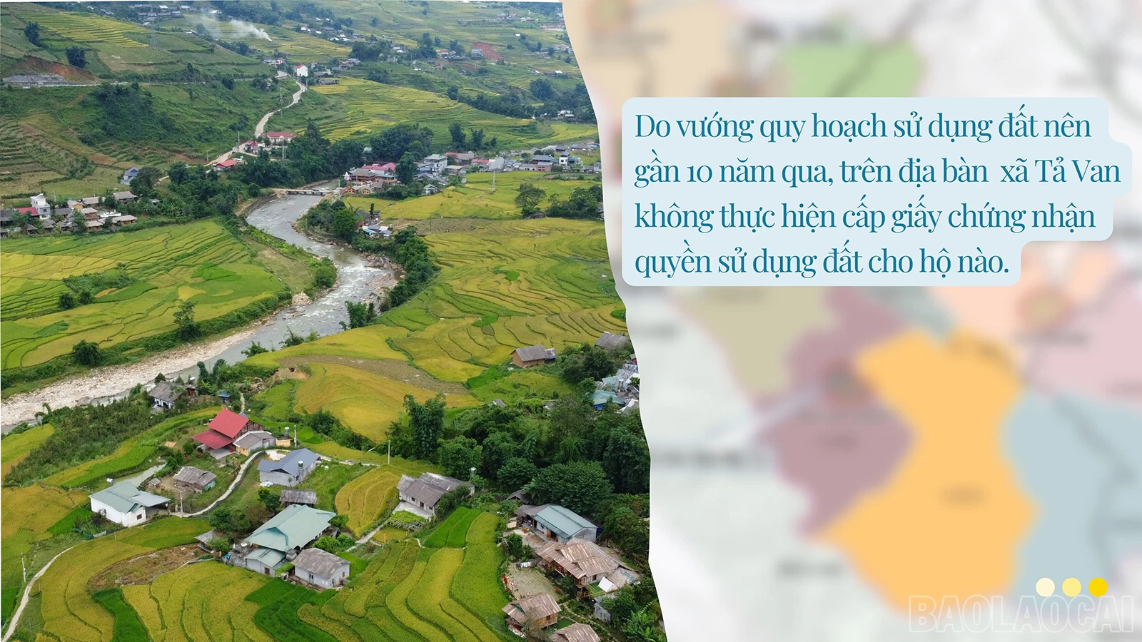 baolaocai_sd (2).jpg