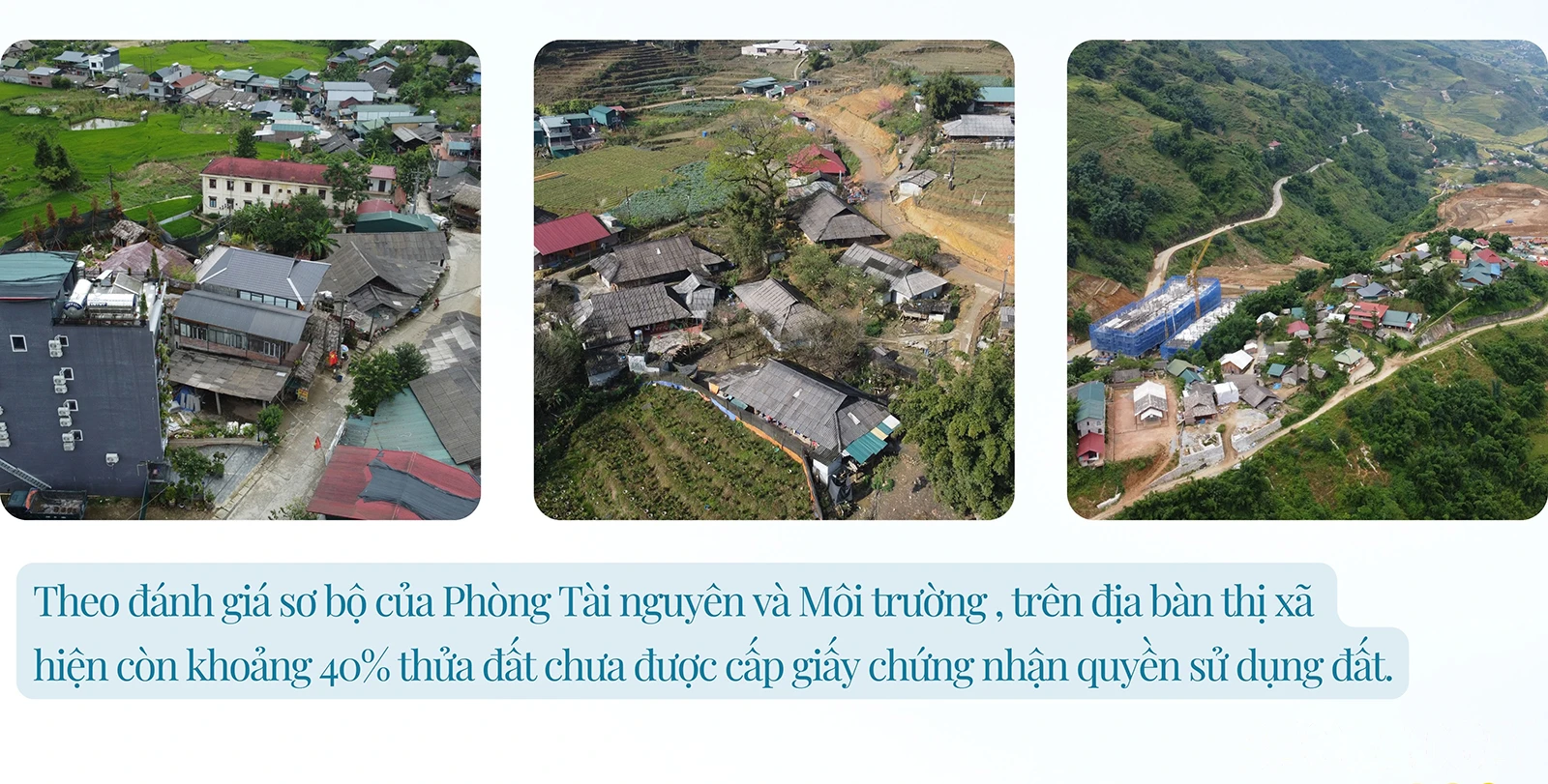 baolaocai_sd (3).jpg