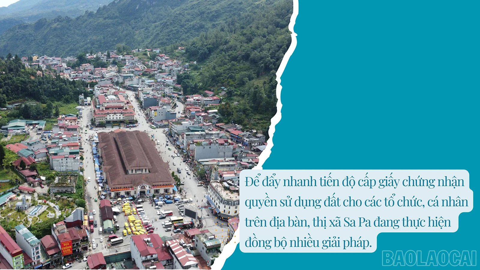 baolaocai_sd (4).jpg