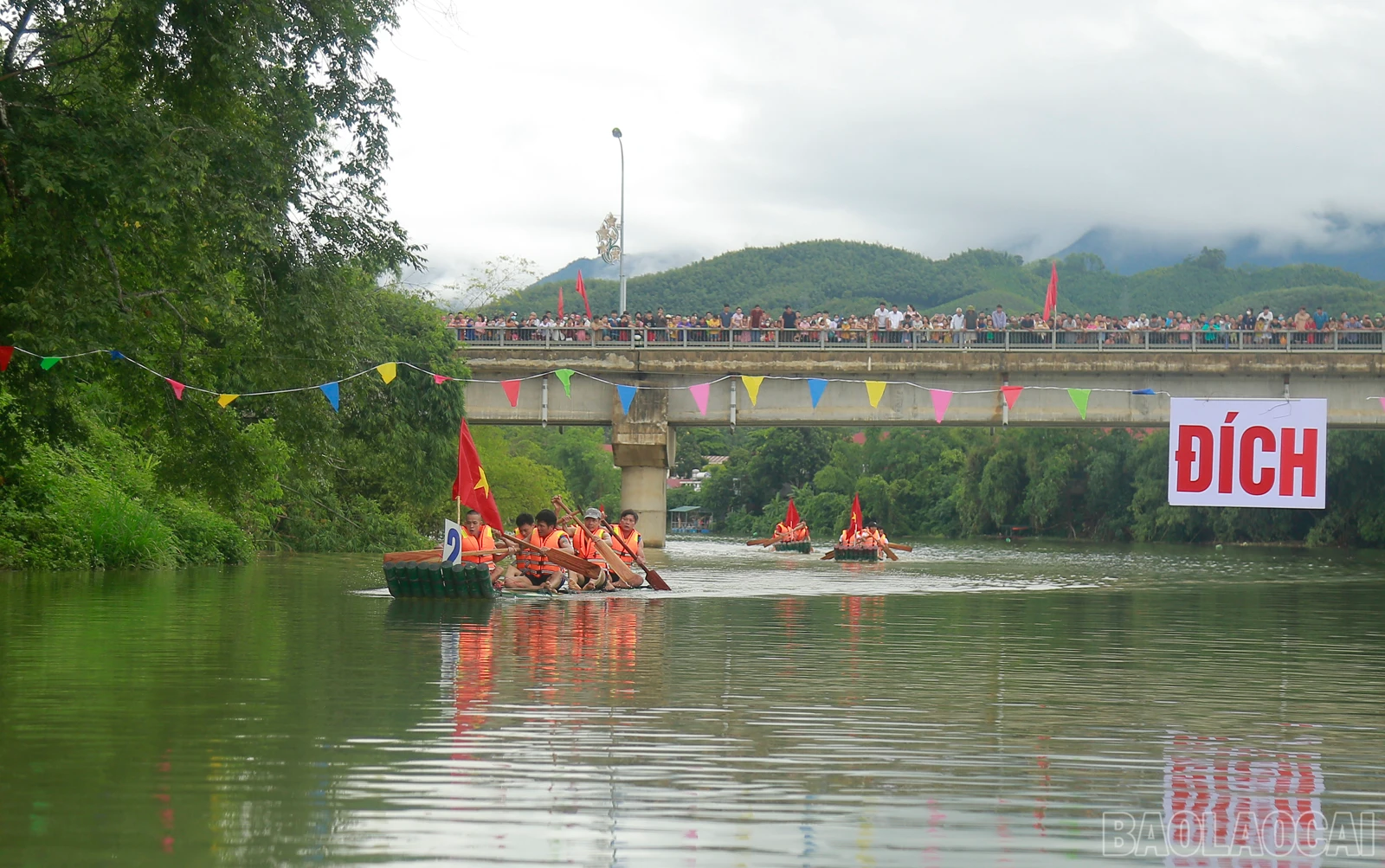 baolaocai_duamang (4).JPG