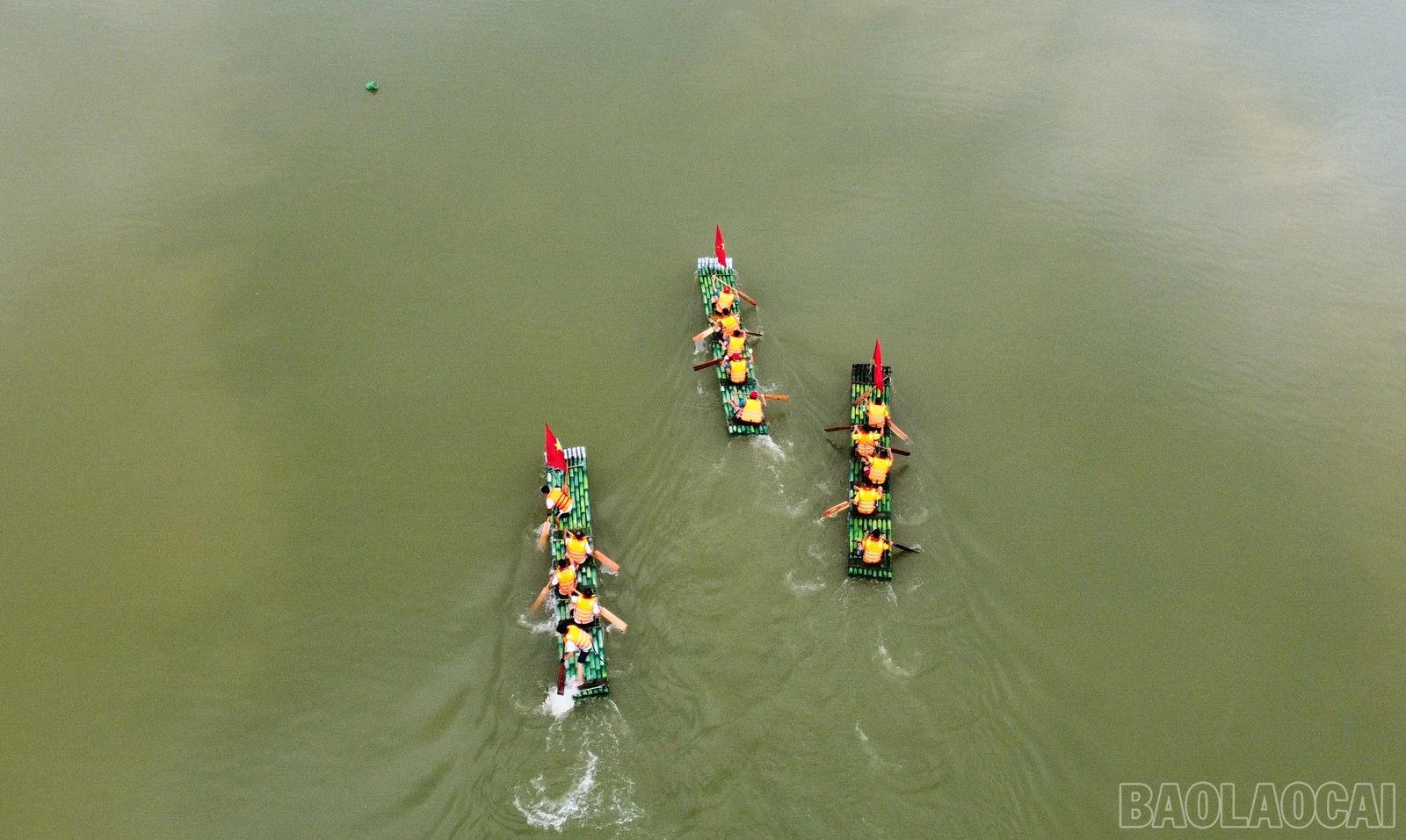 baolaocai_duamang (11).JPG