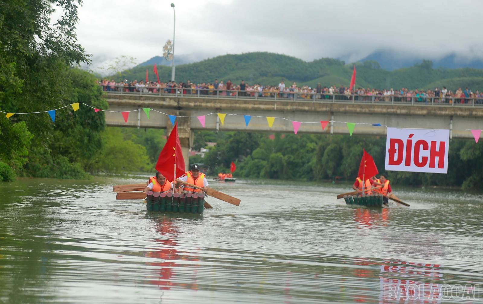 baolaocai_duamang (5).JPG