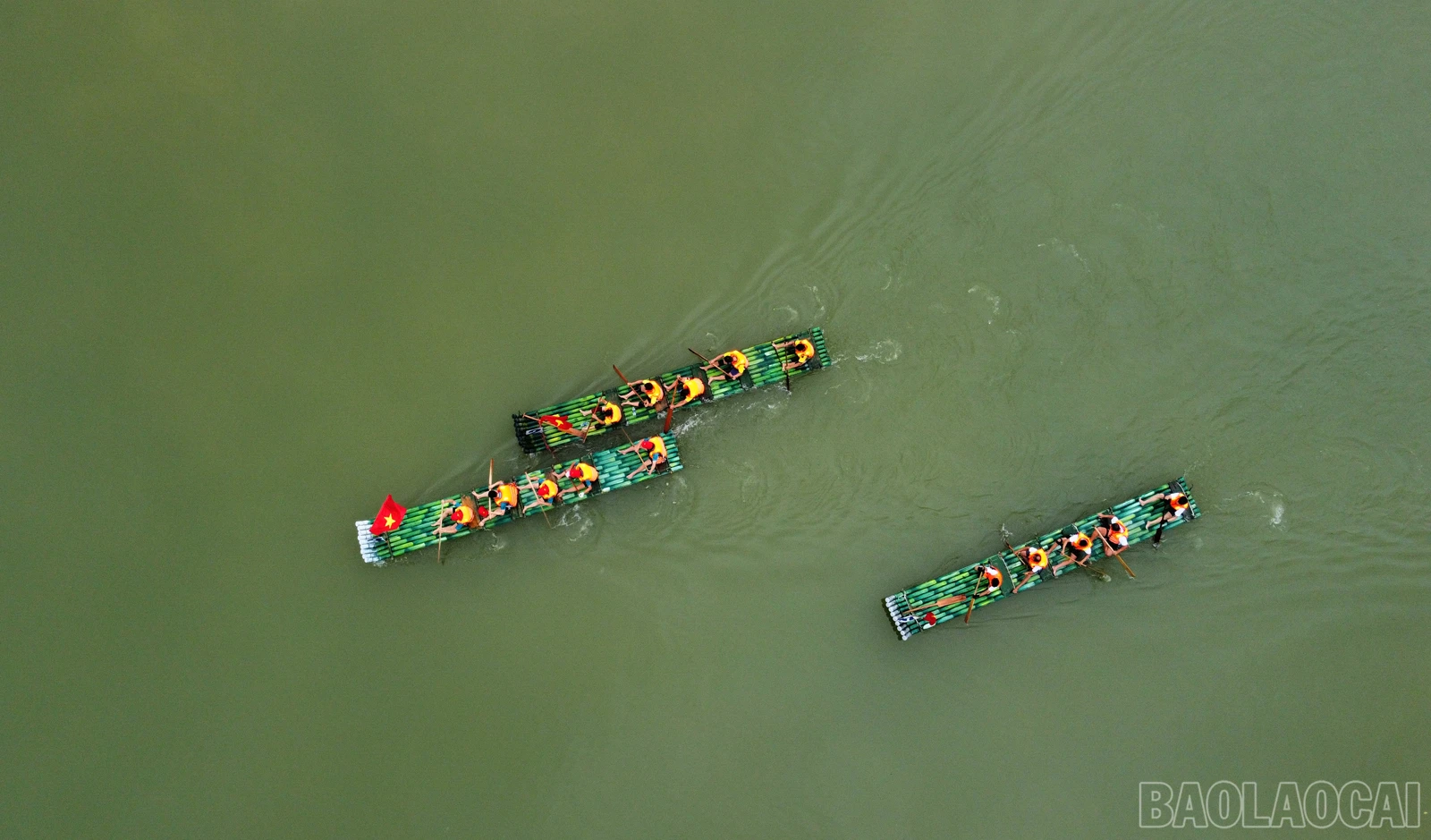 baolaocai_duamang (9).JPG