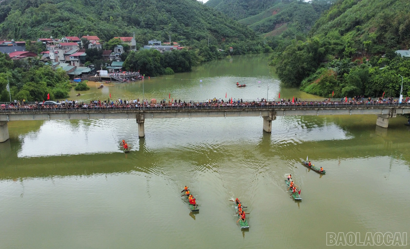 baolaocai_duamang (8).JPG