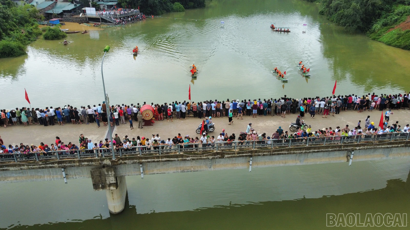 baolaocai_duamang (7).JPG