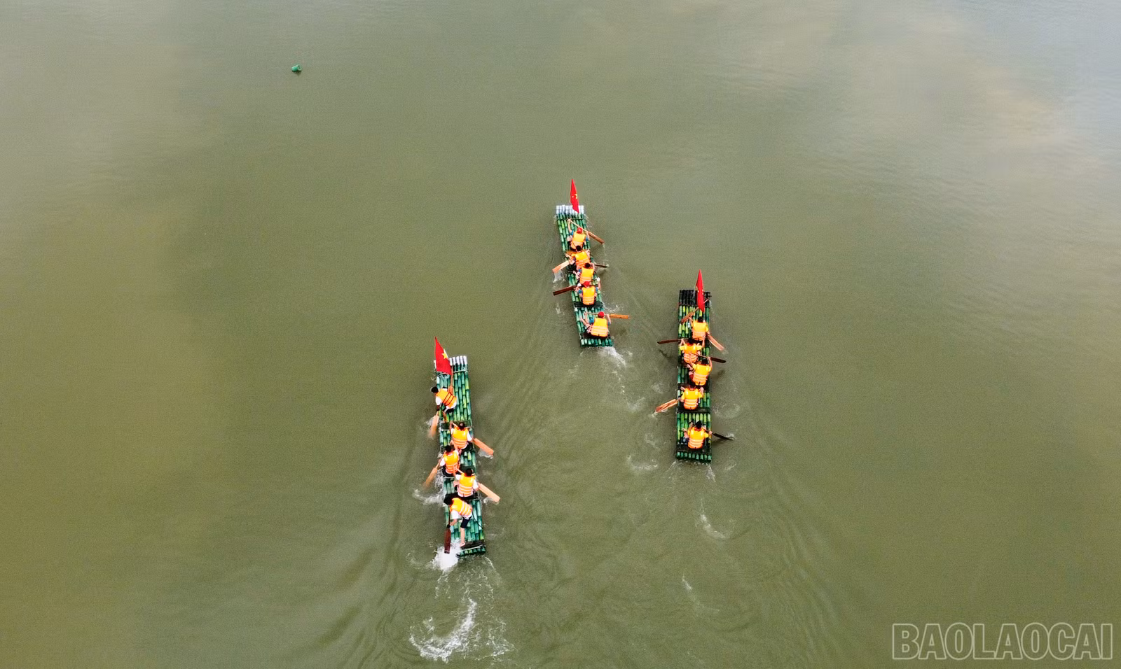 baolaocai_duamang (11).JPG