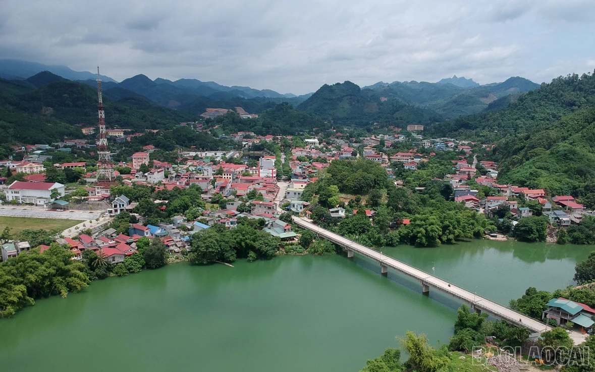 baolaocai_tranphorang (3).JPG