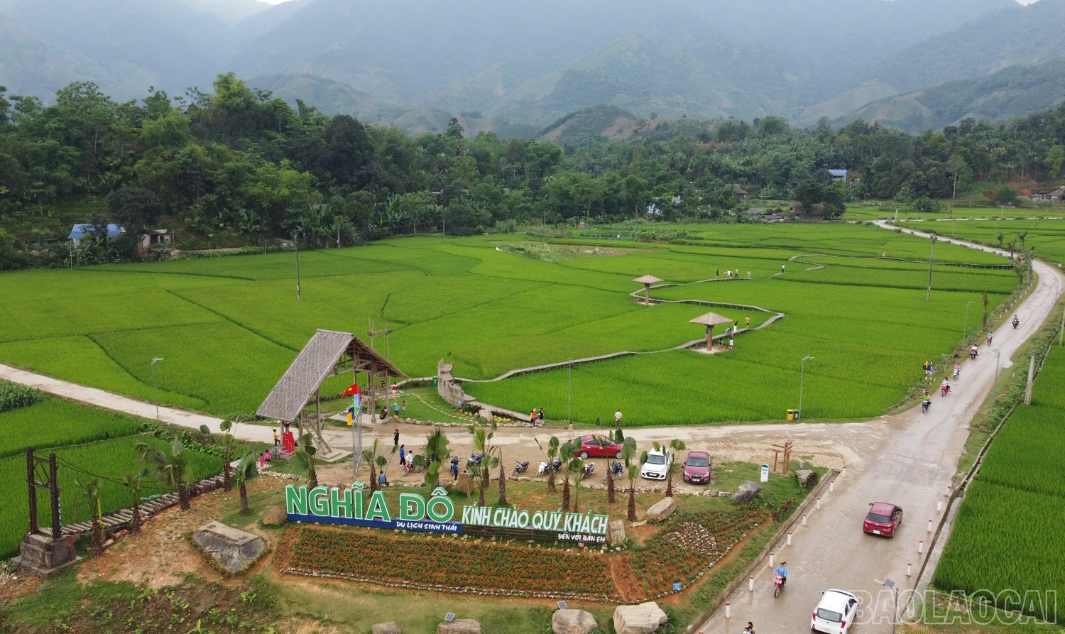 baolaocai_tranphorang (11).JPG