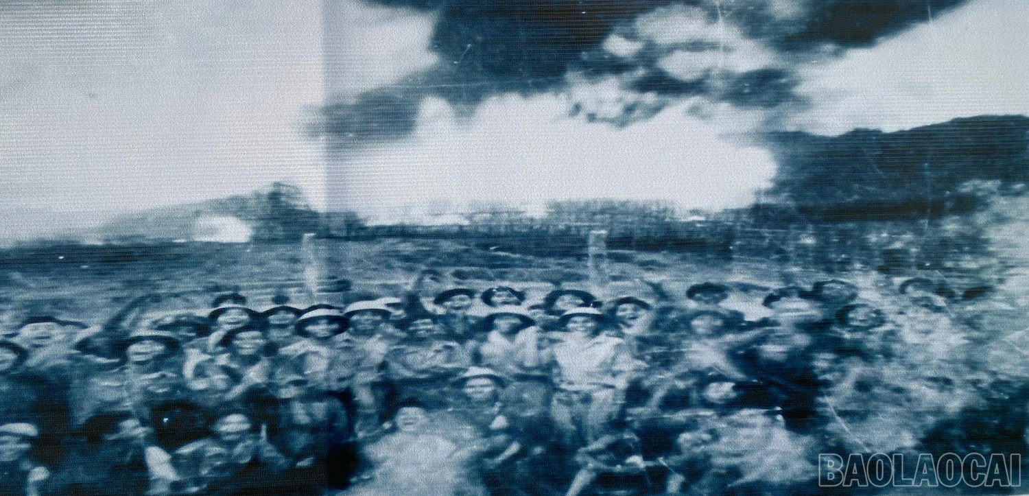 baolaocai_tranphorang (8).JPG