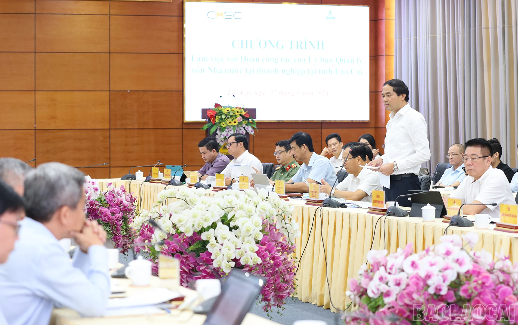 baolaocai_vtm (5).JPG