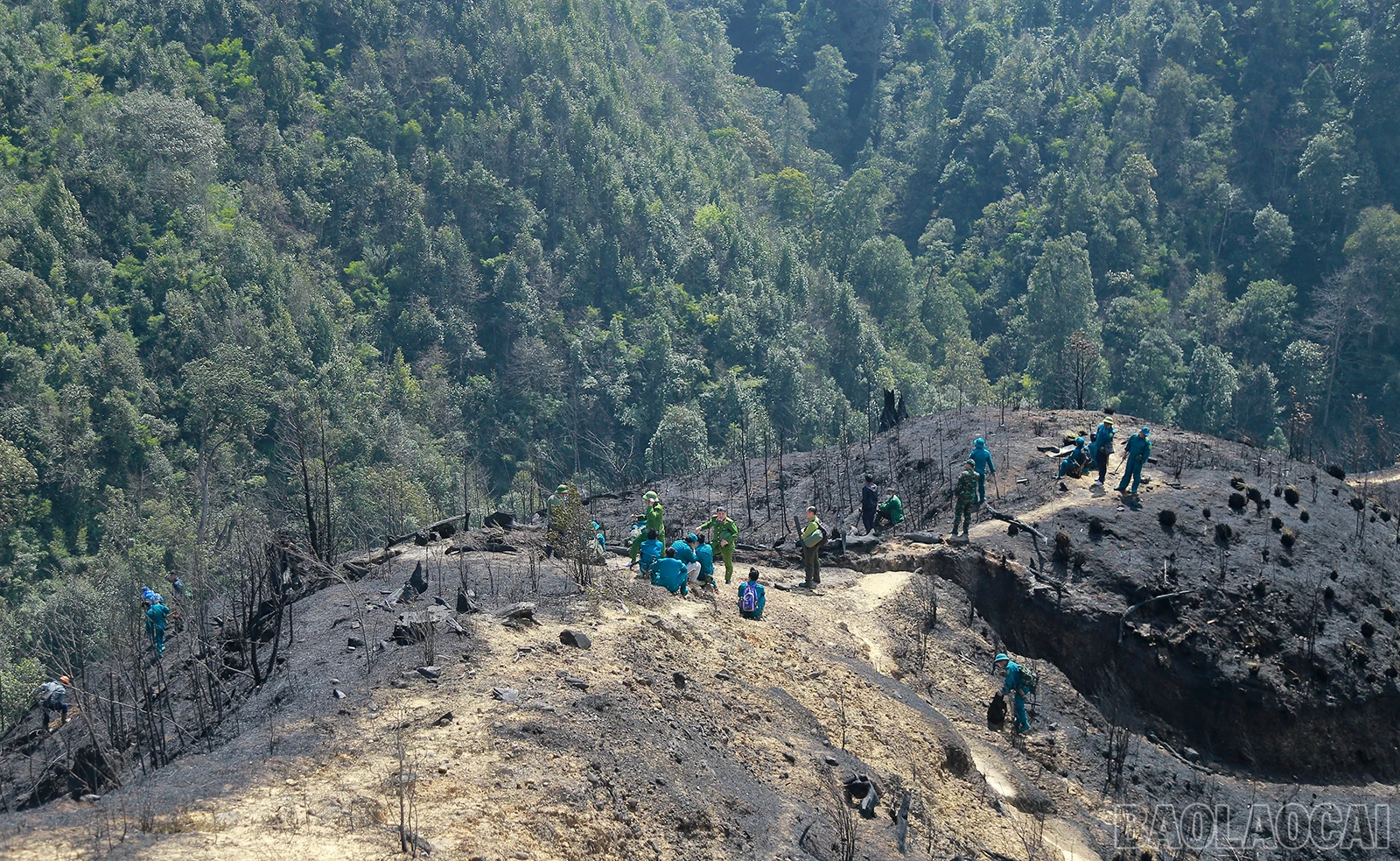 baolaocai_tk (22).JPG