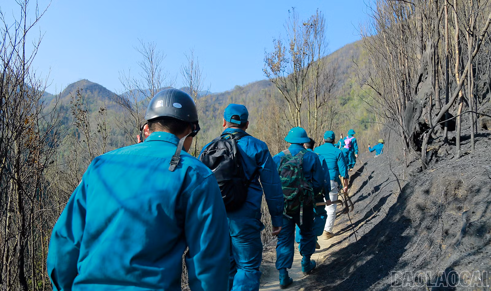 baolaocai_tk (26).JPG