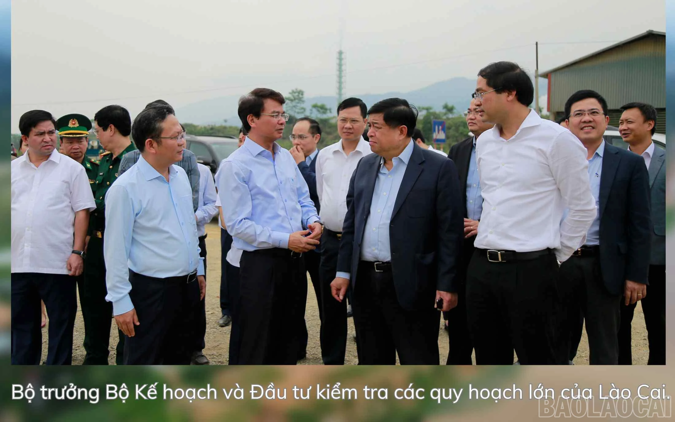 baolaocai_qh (3).jpg