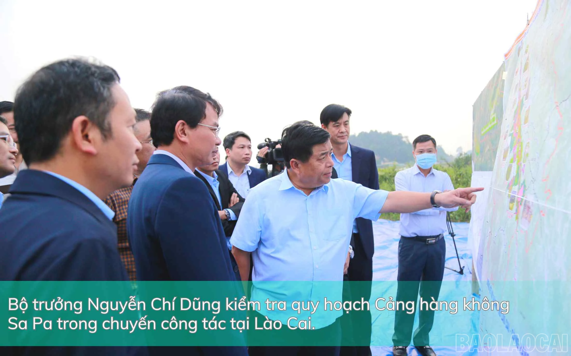 baolaocai_qh (4).jpg