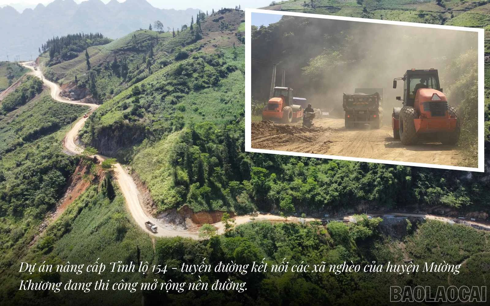 baolaocai_tl (4).jpg