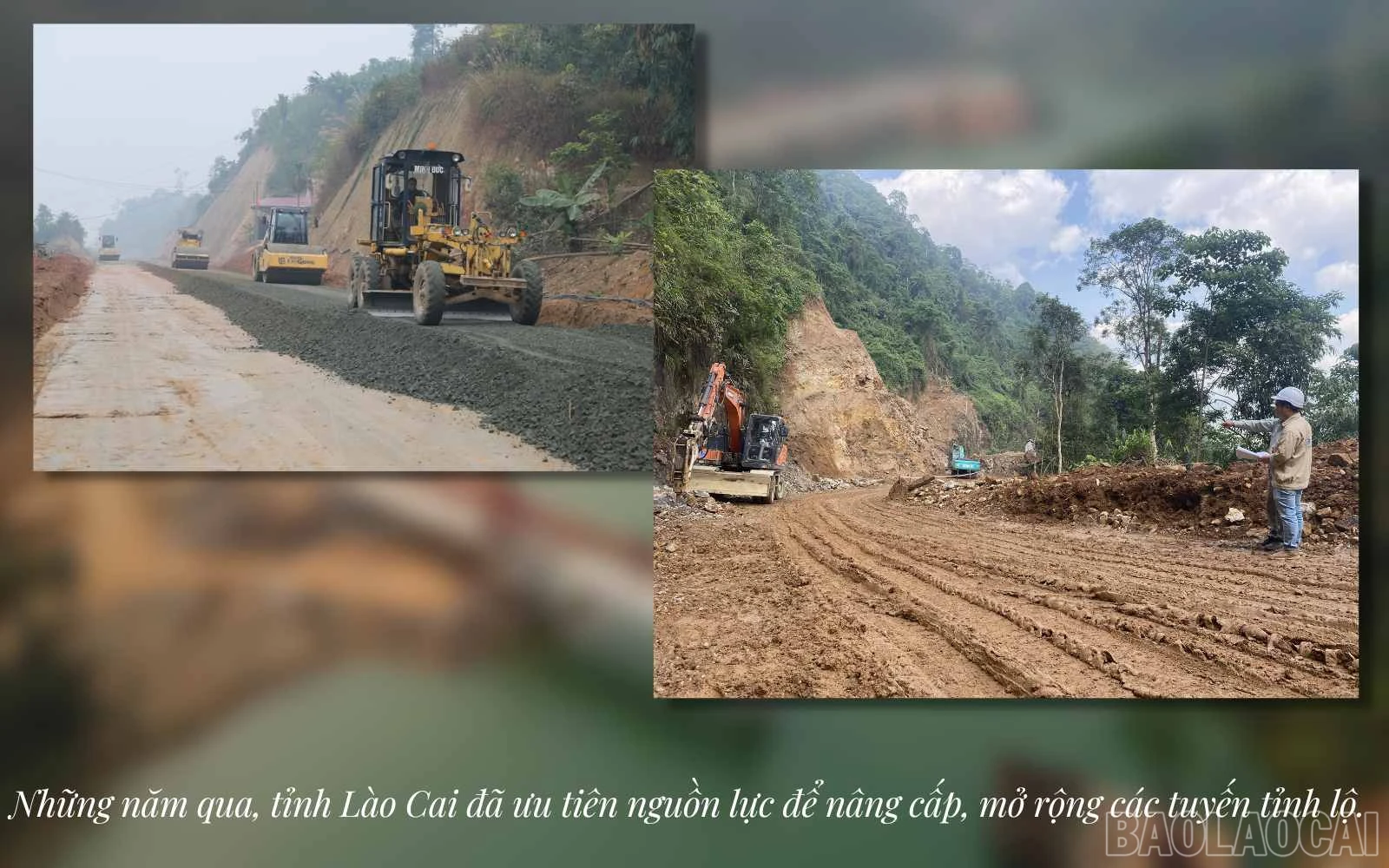 baolaocai_tl (2).jpg