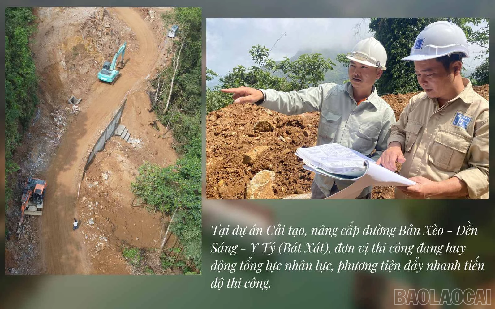 baolaocai_tl (3).jpg