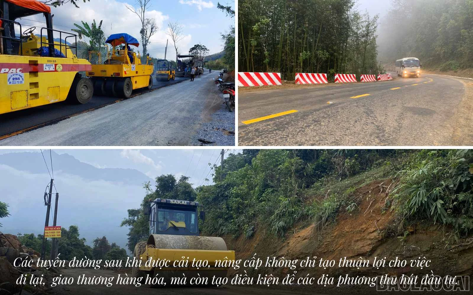 baolaocai_tl (6).jpg