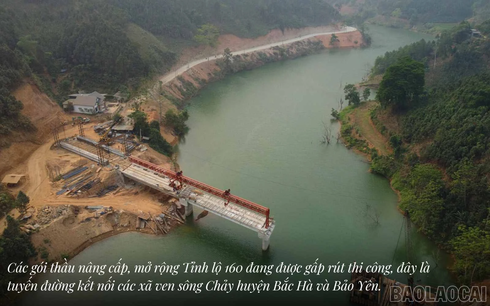 baolaocai_tl (5).jpg