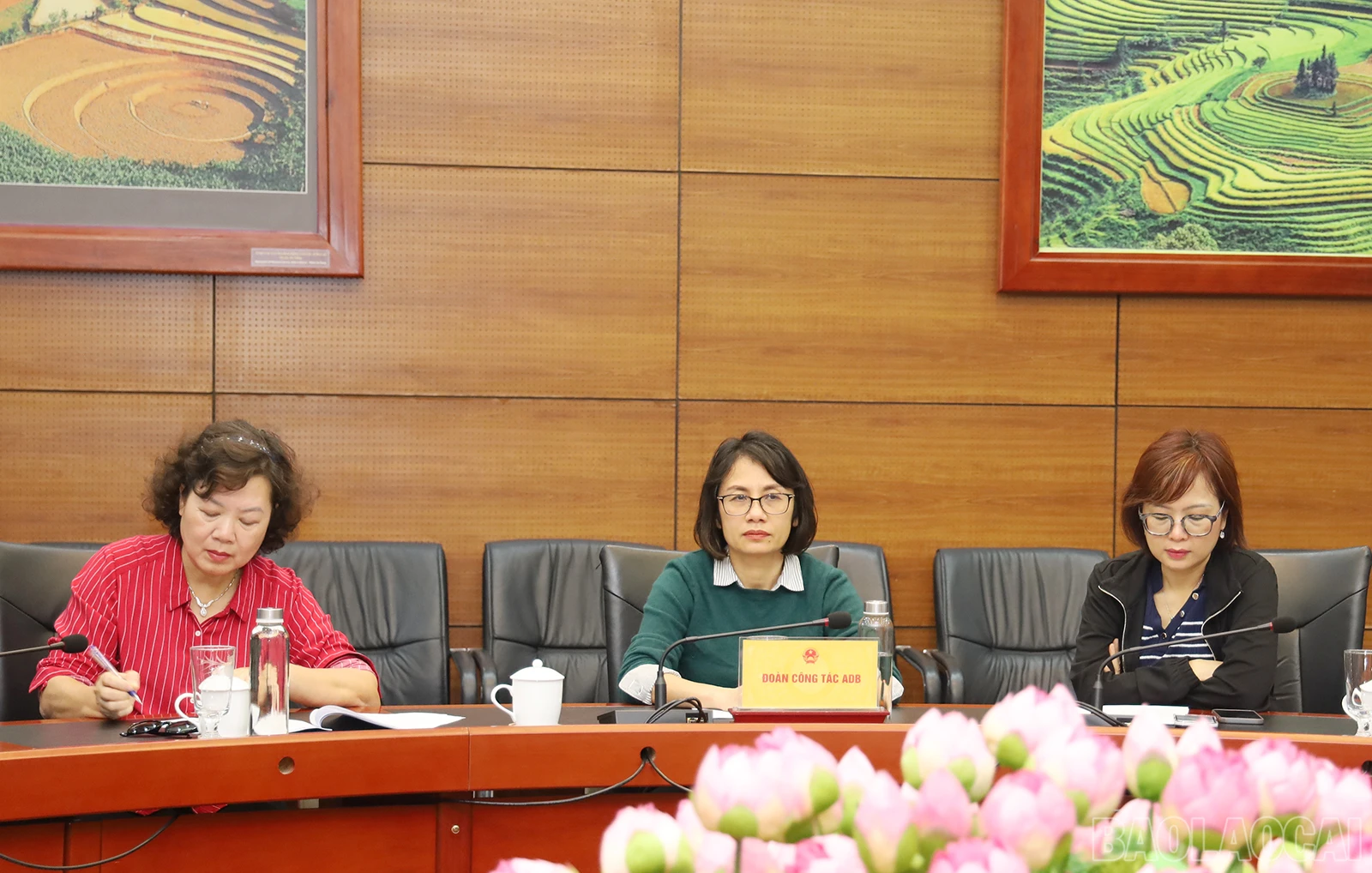 baolaocai_adb (3).JPG