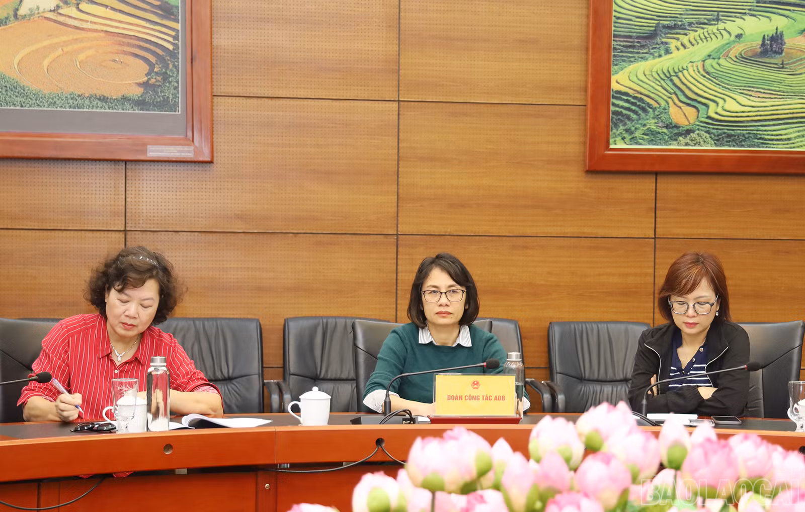 baolaocai_adb (3).JPG