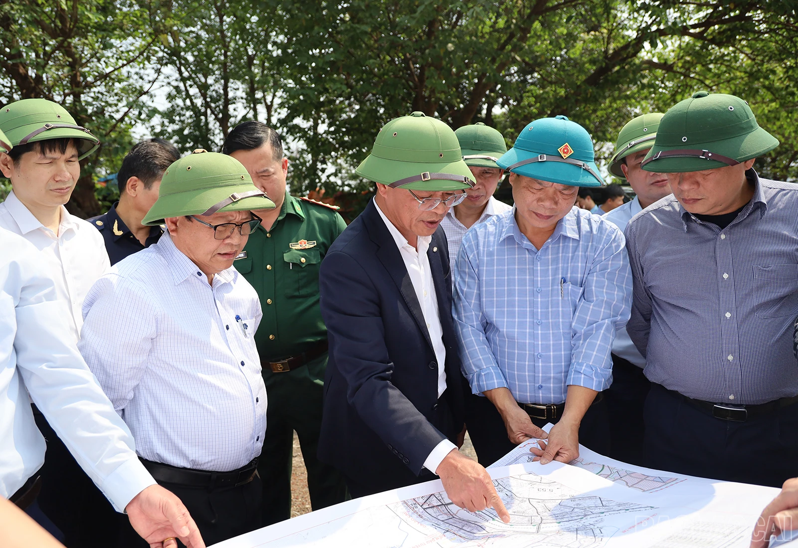 baolaocai_fe (4).JPG