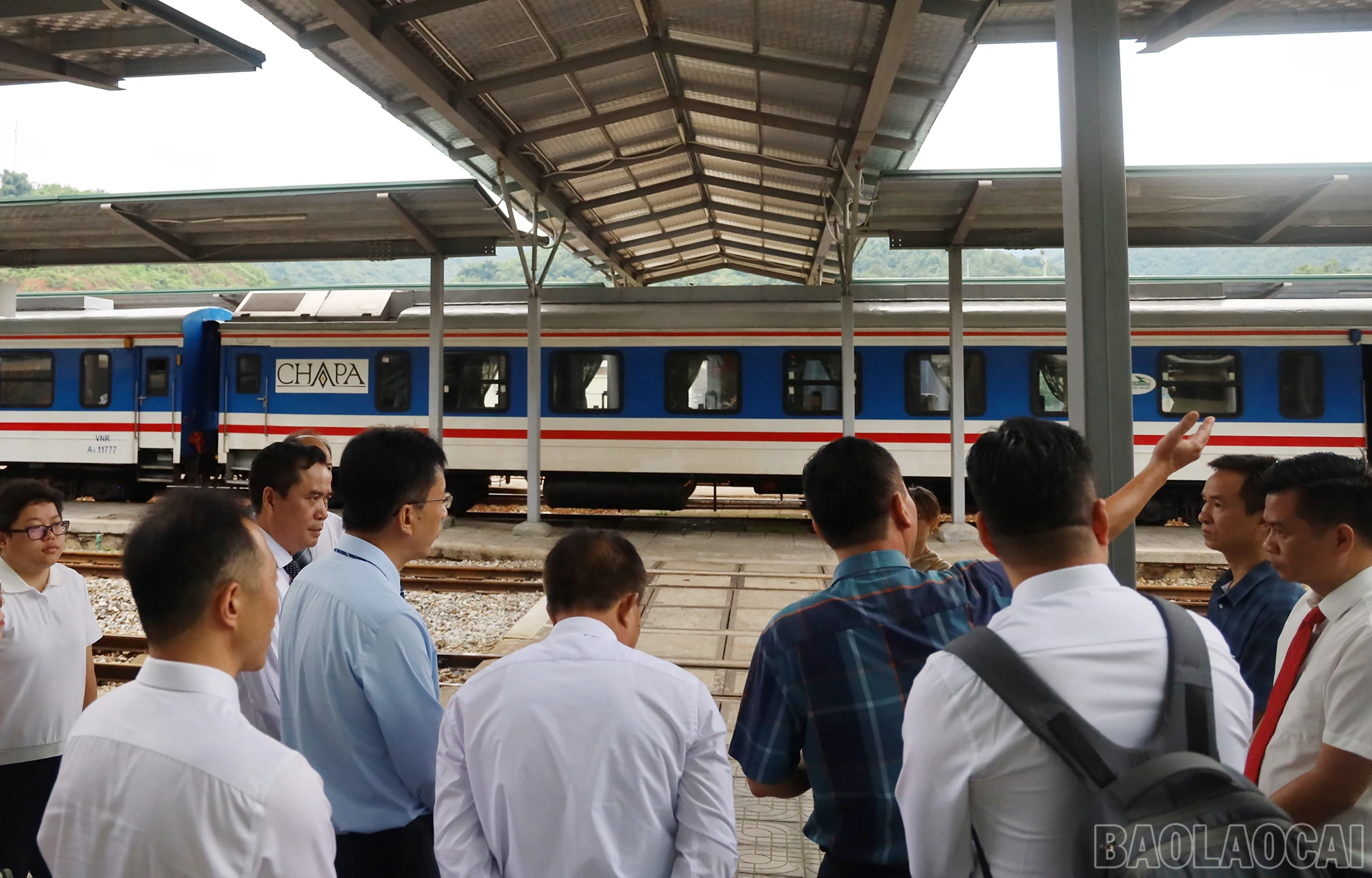 baolaocai_ks (4).JPG