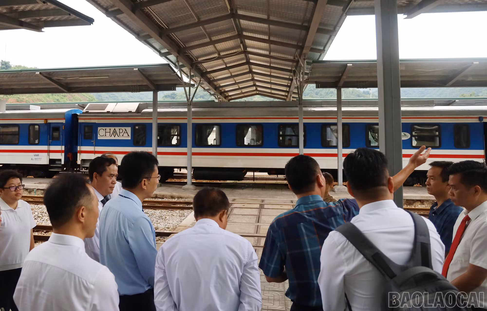 baolaocai_ks (4).JPG