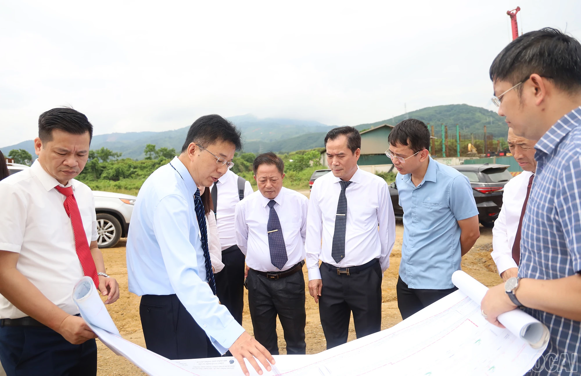 baolaocai_ks (6).JPG