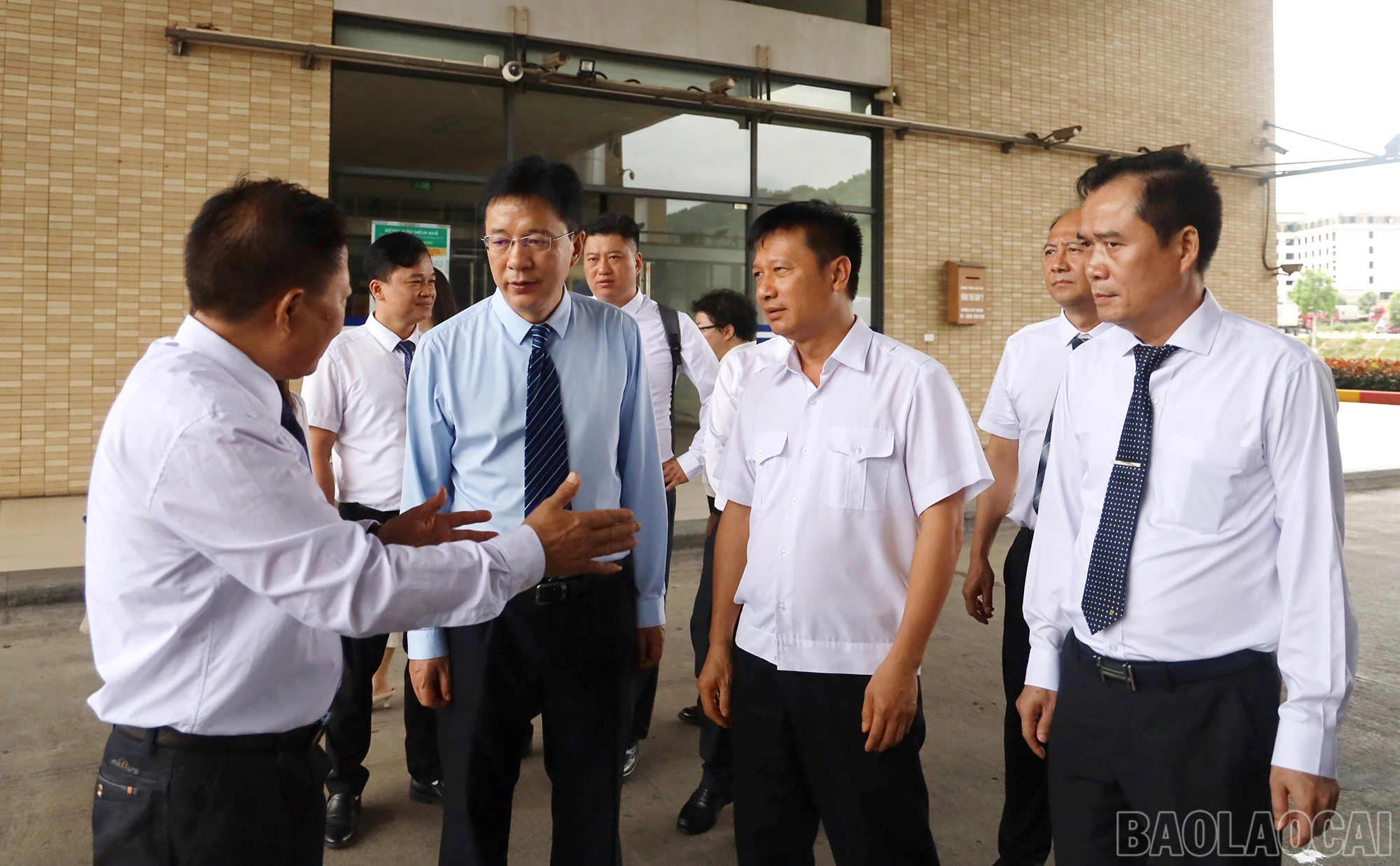 baolaocai_ks (5).JPG