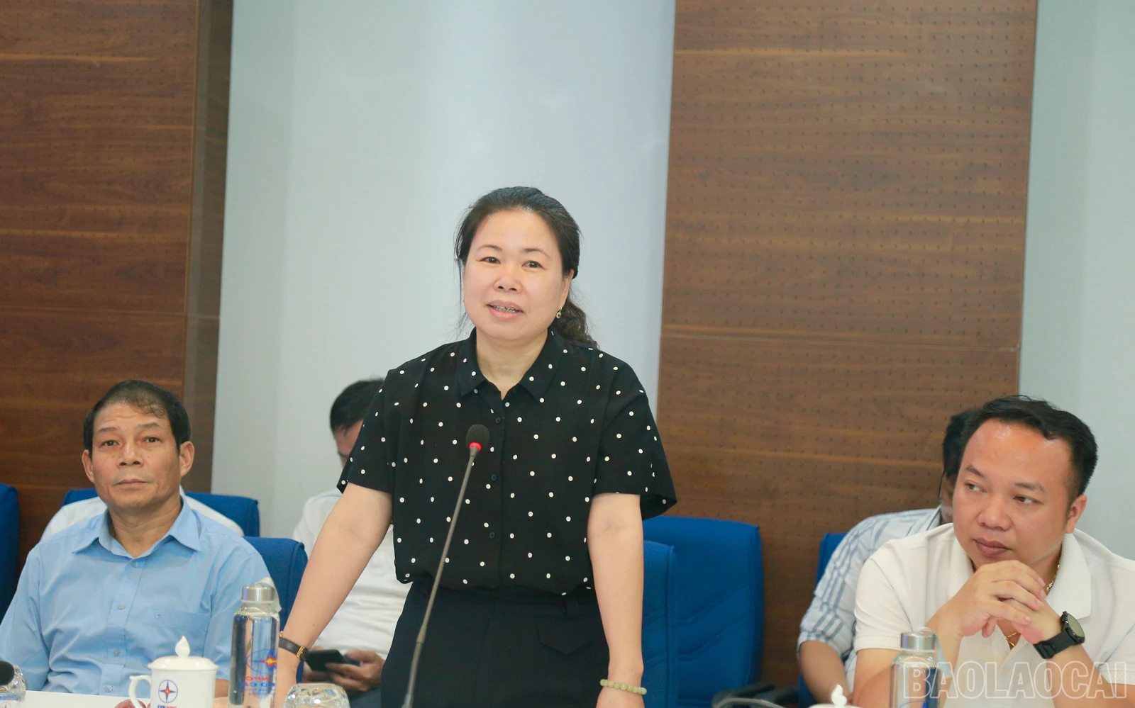 baolaocai_dl (3).JPG