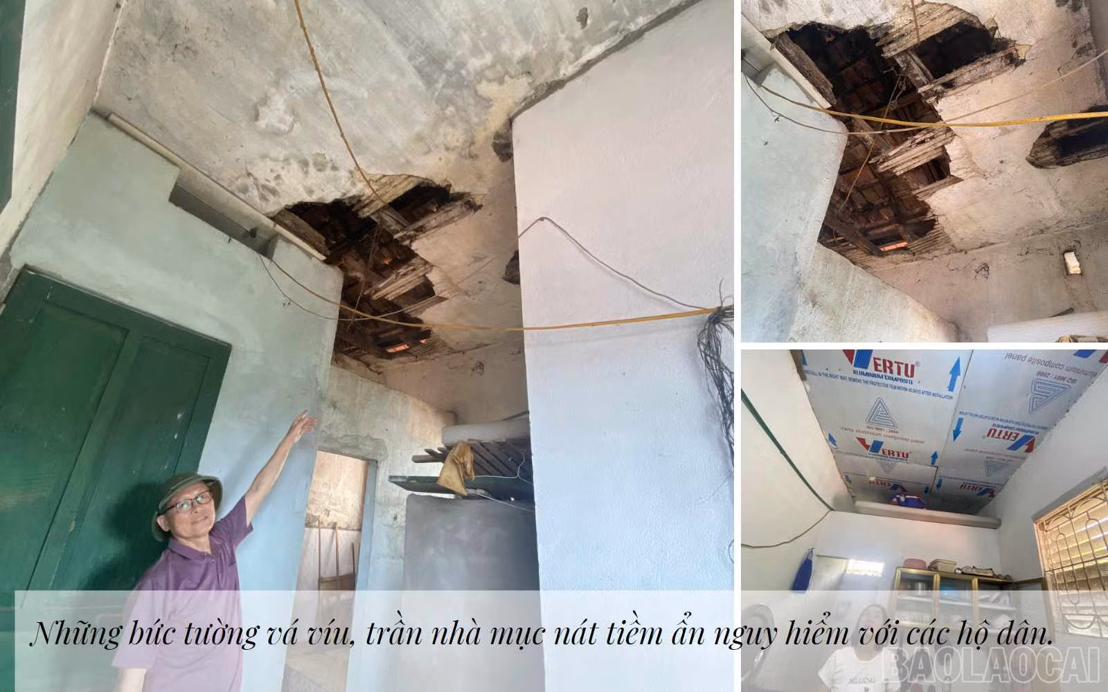 baolaocai_ap (4).jpg