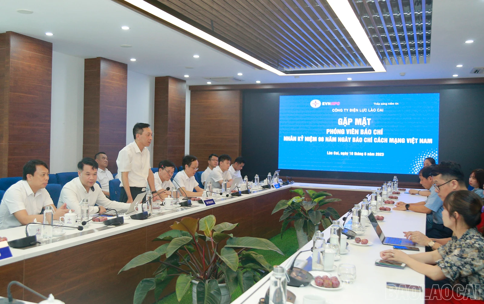 baolaocai_dl (1).JPG