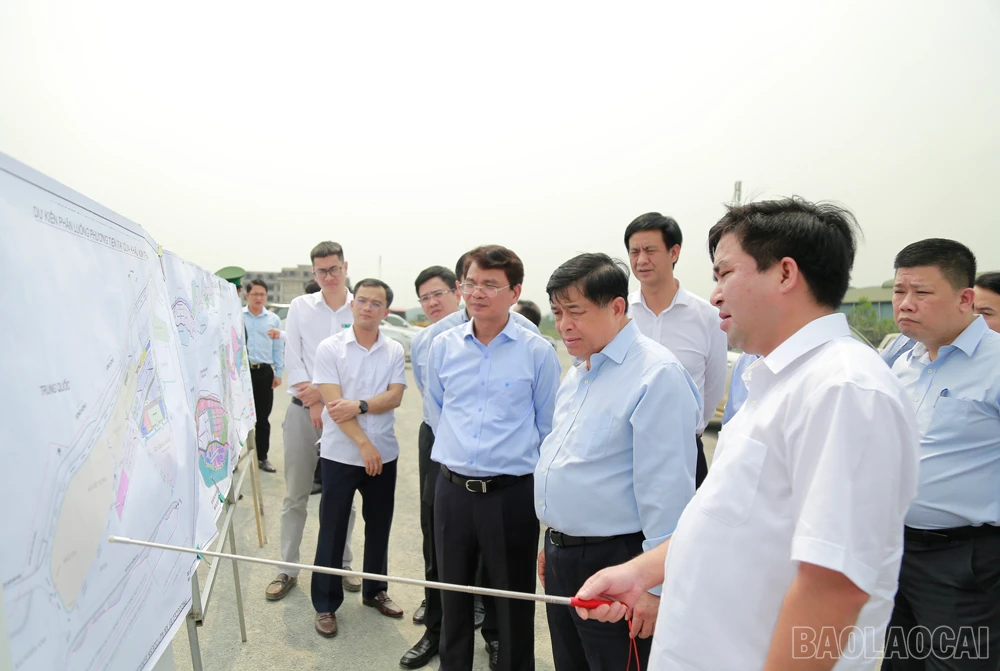 baolaocai_bkh (6).JPG