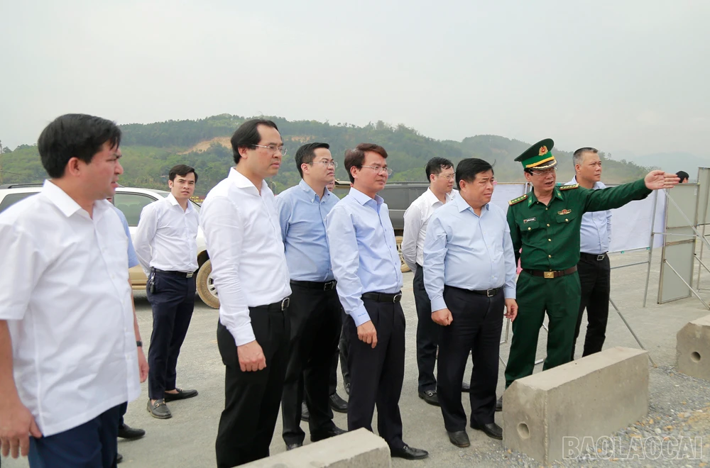 baolaocai_bkh (5).JPG