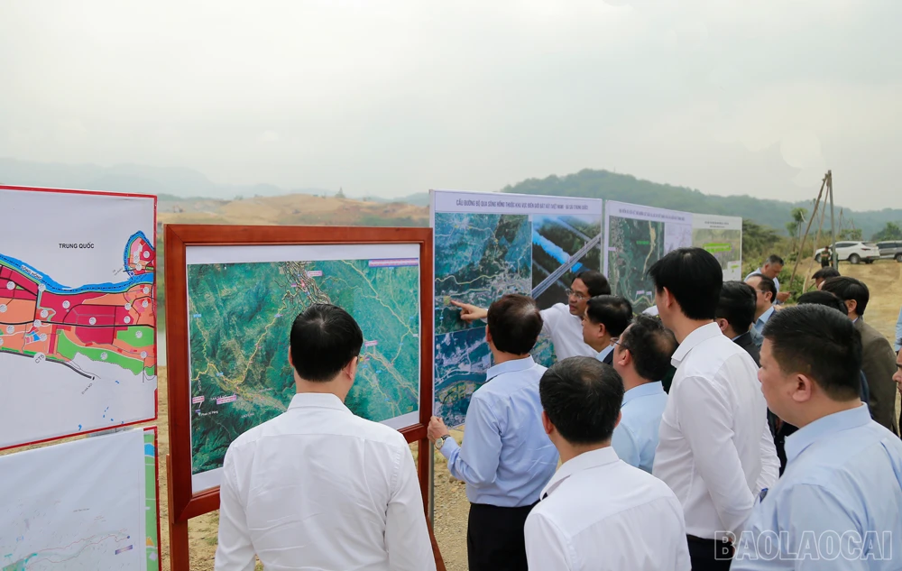 baolaocai_bkh (3).JPG