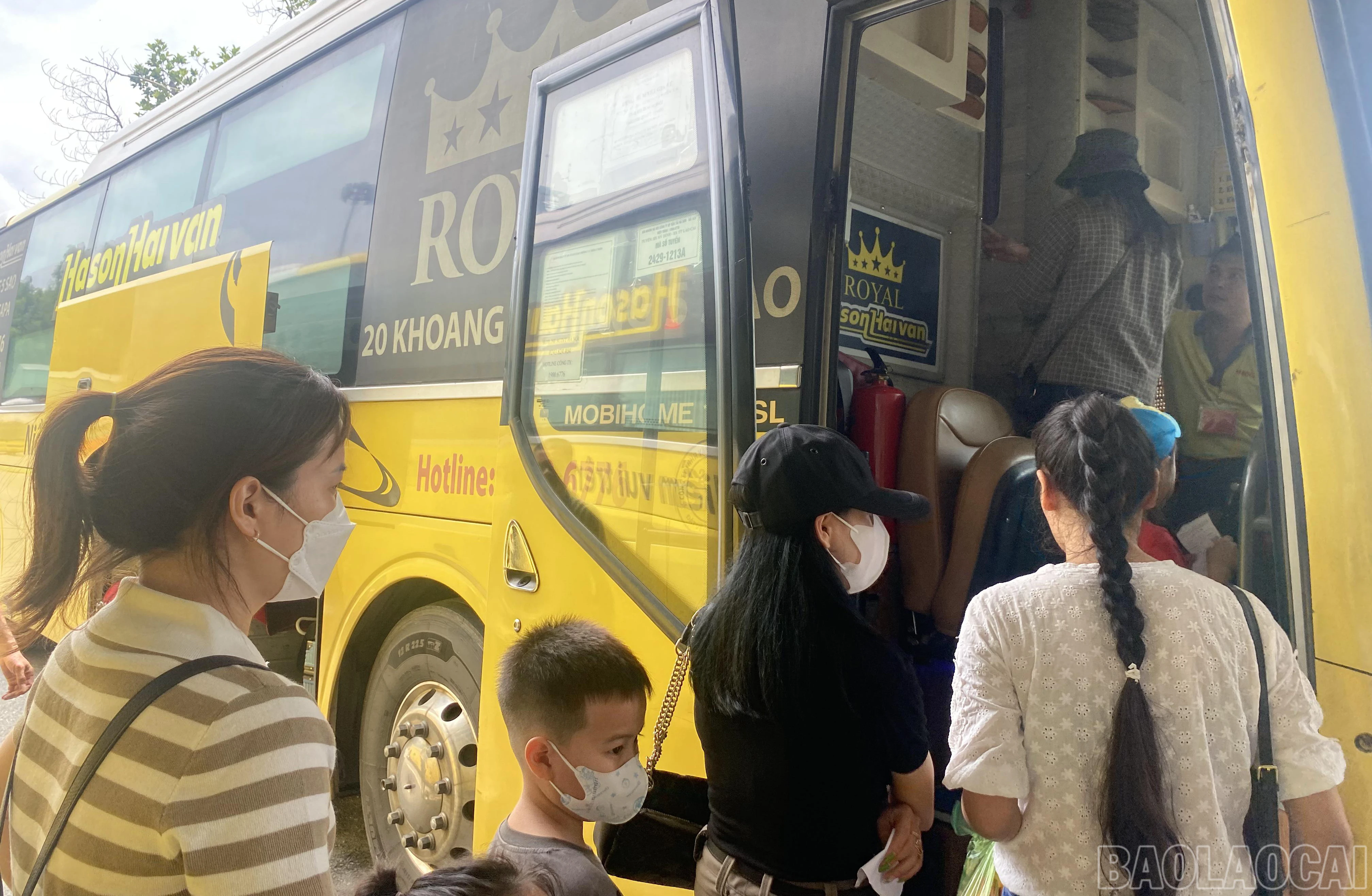 baolaocai_bx (2).JPG