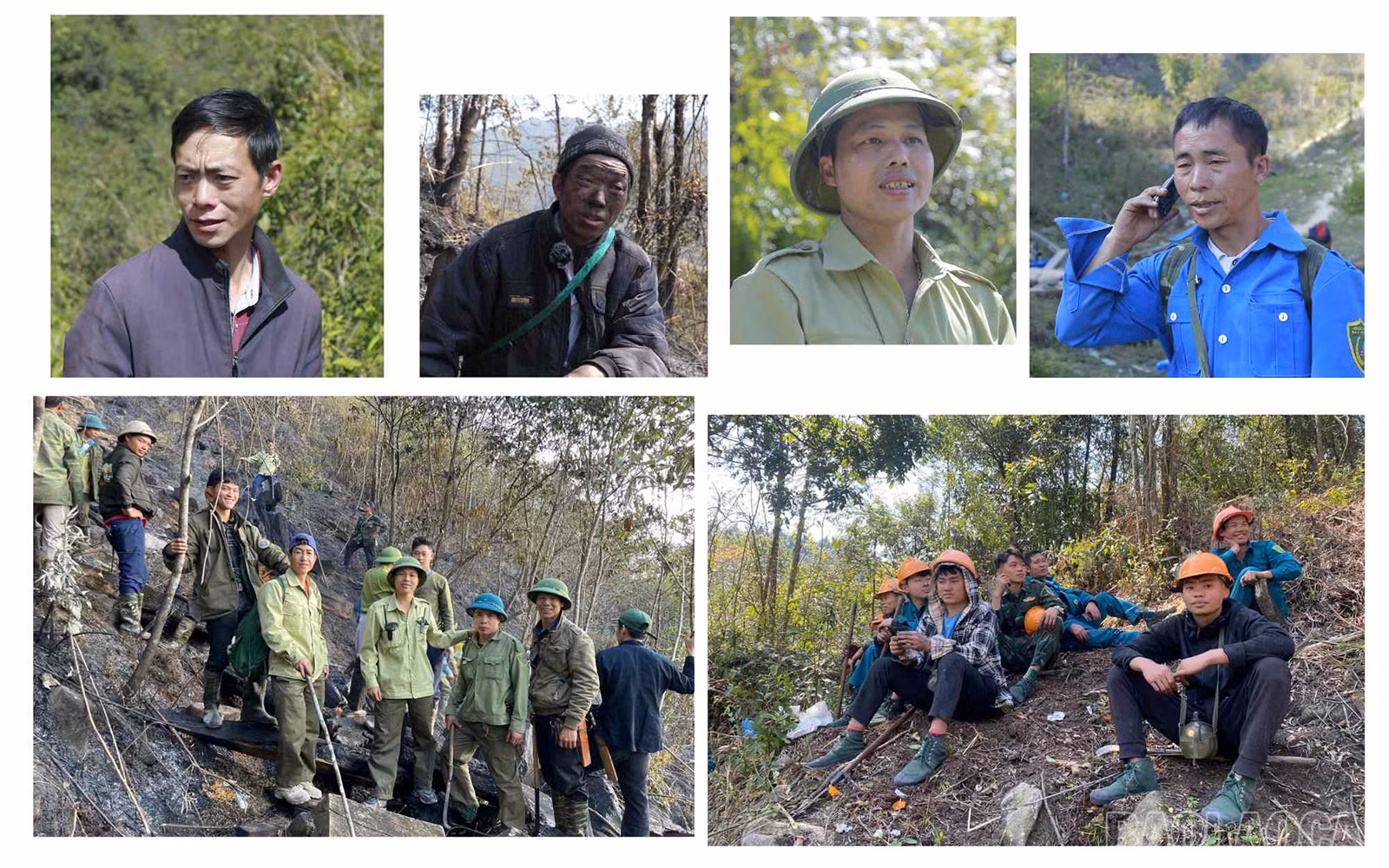 baolaocai_cc (17).jpg