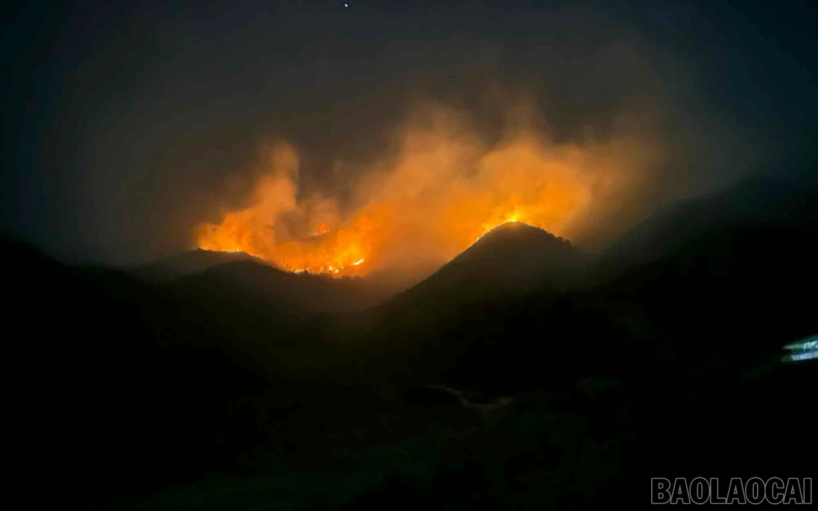 baolaocai_cc (2).jpg