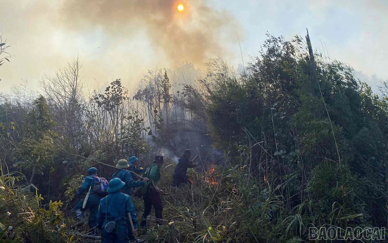 baolaocai_cc (9).jpg