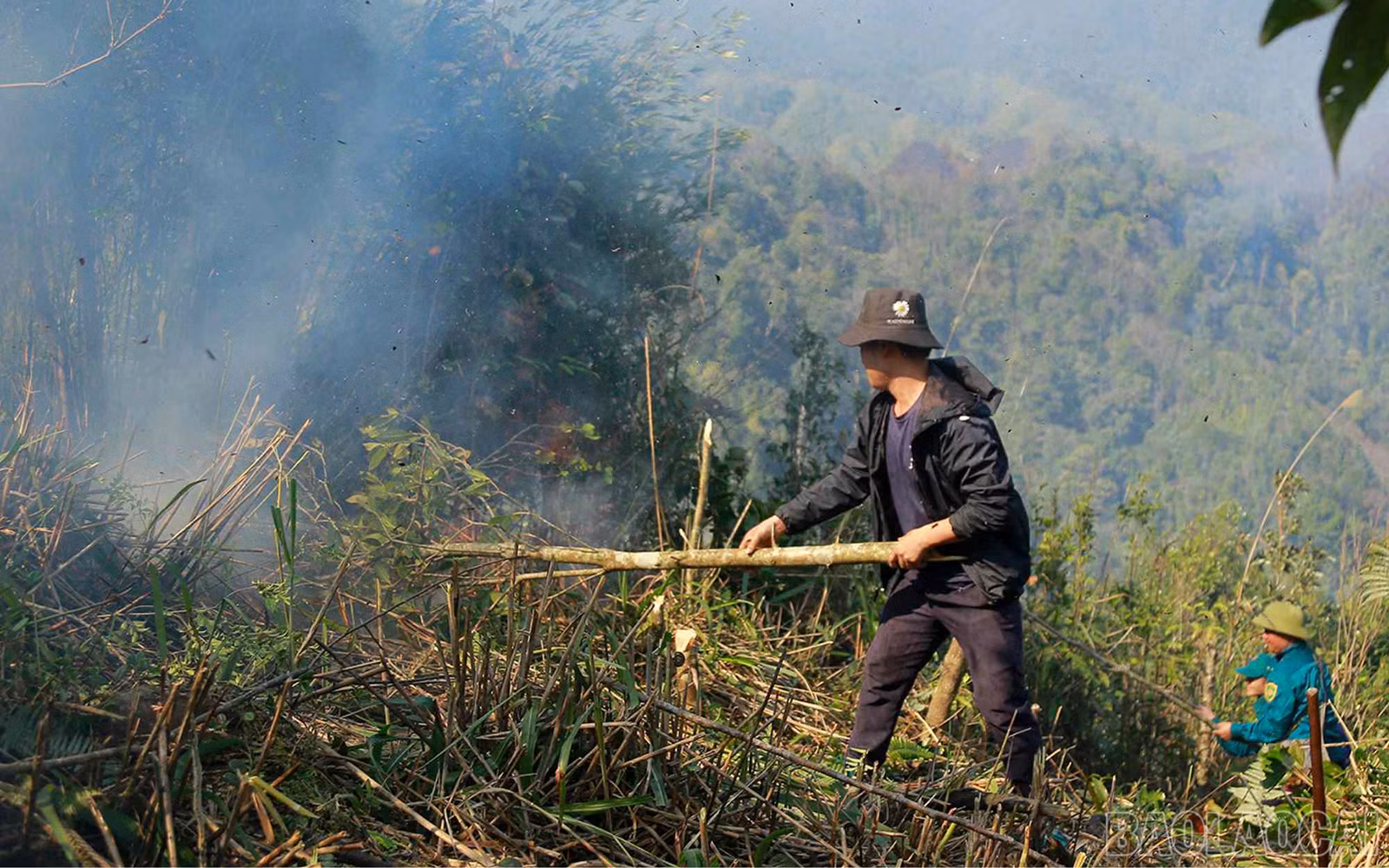 baolaocai_cc (10).jpg