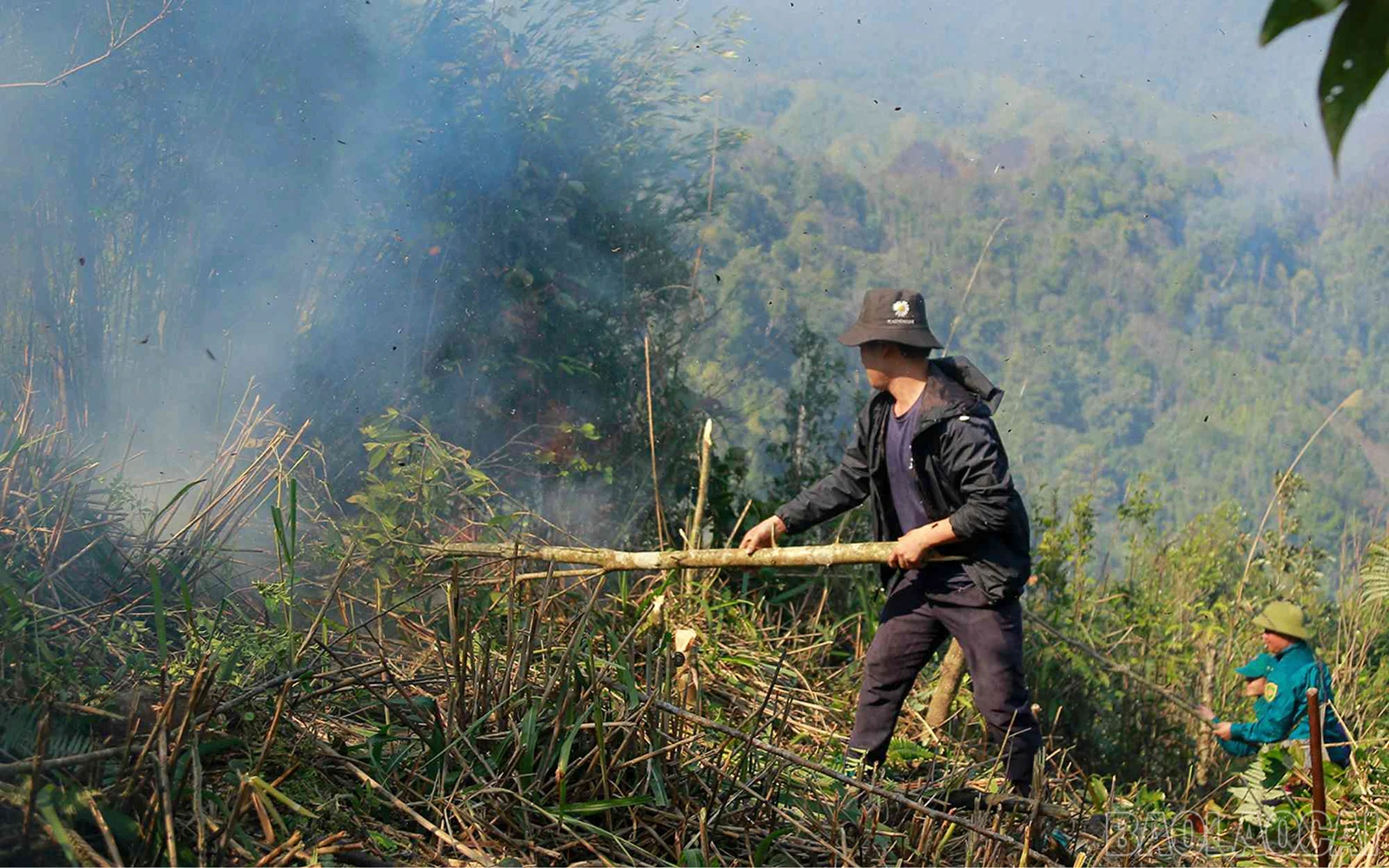 baolaocai_cc (10).jpg