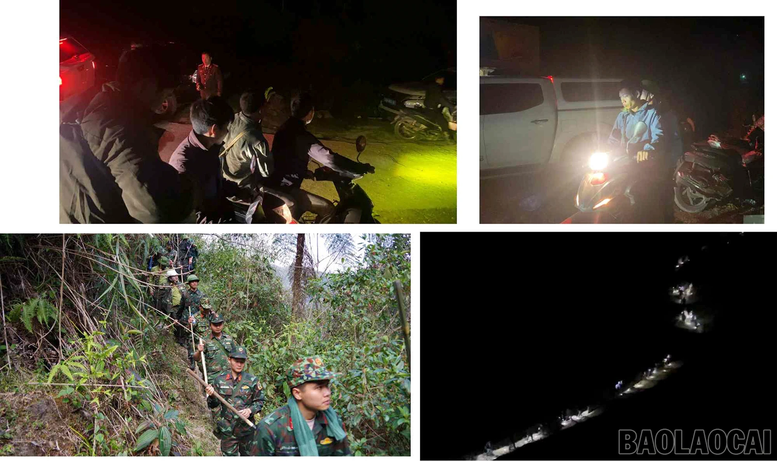 baolaocai_cc (4).jpg