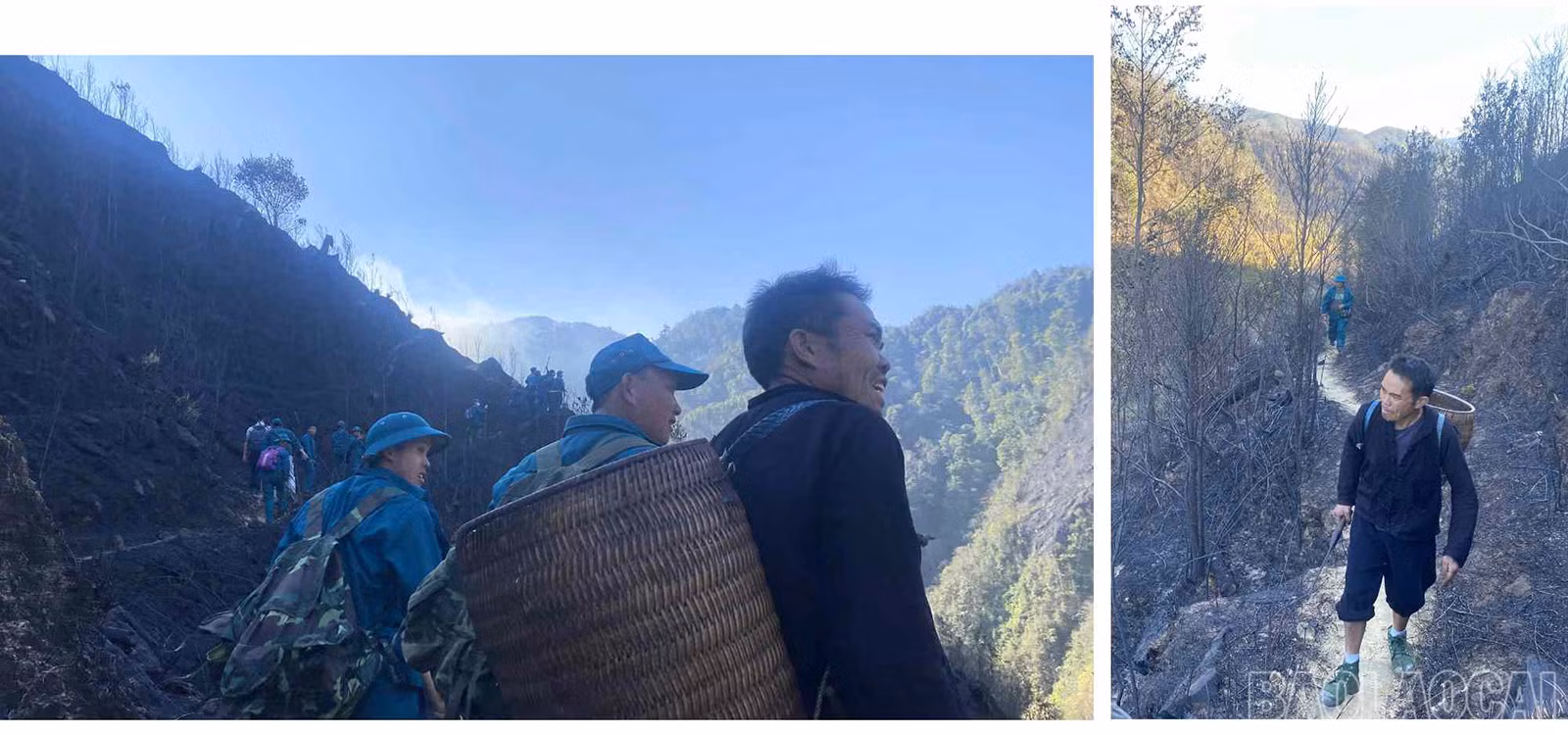 baolaocai_cc (6).jpg