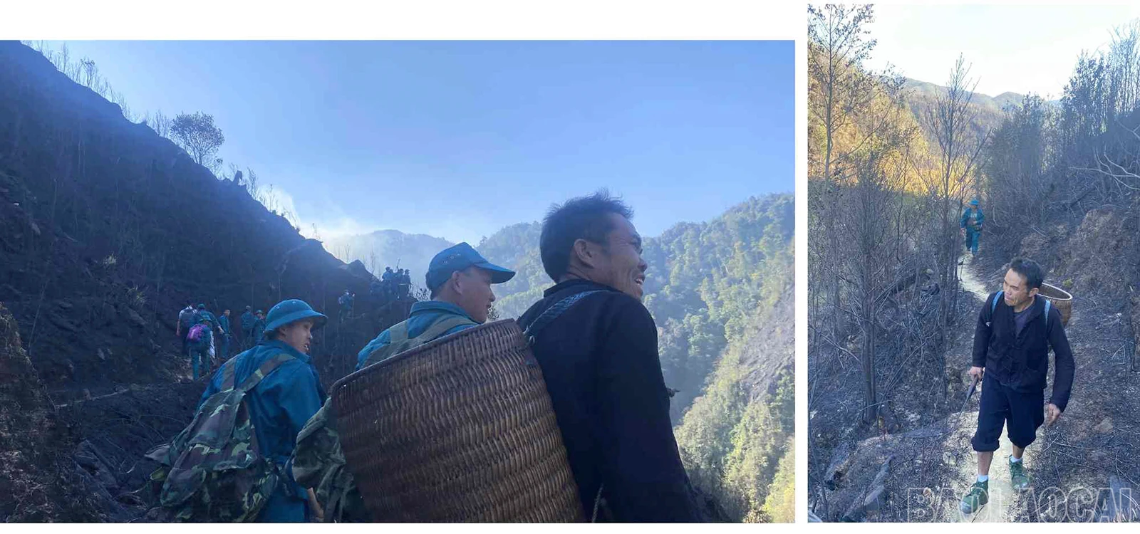 baolaocai_cc (6).jpg