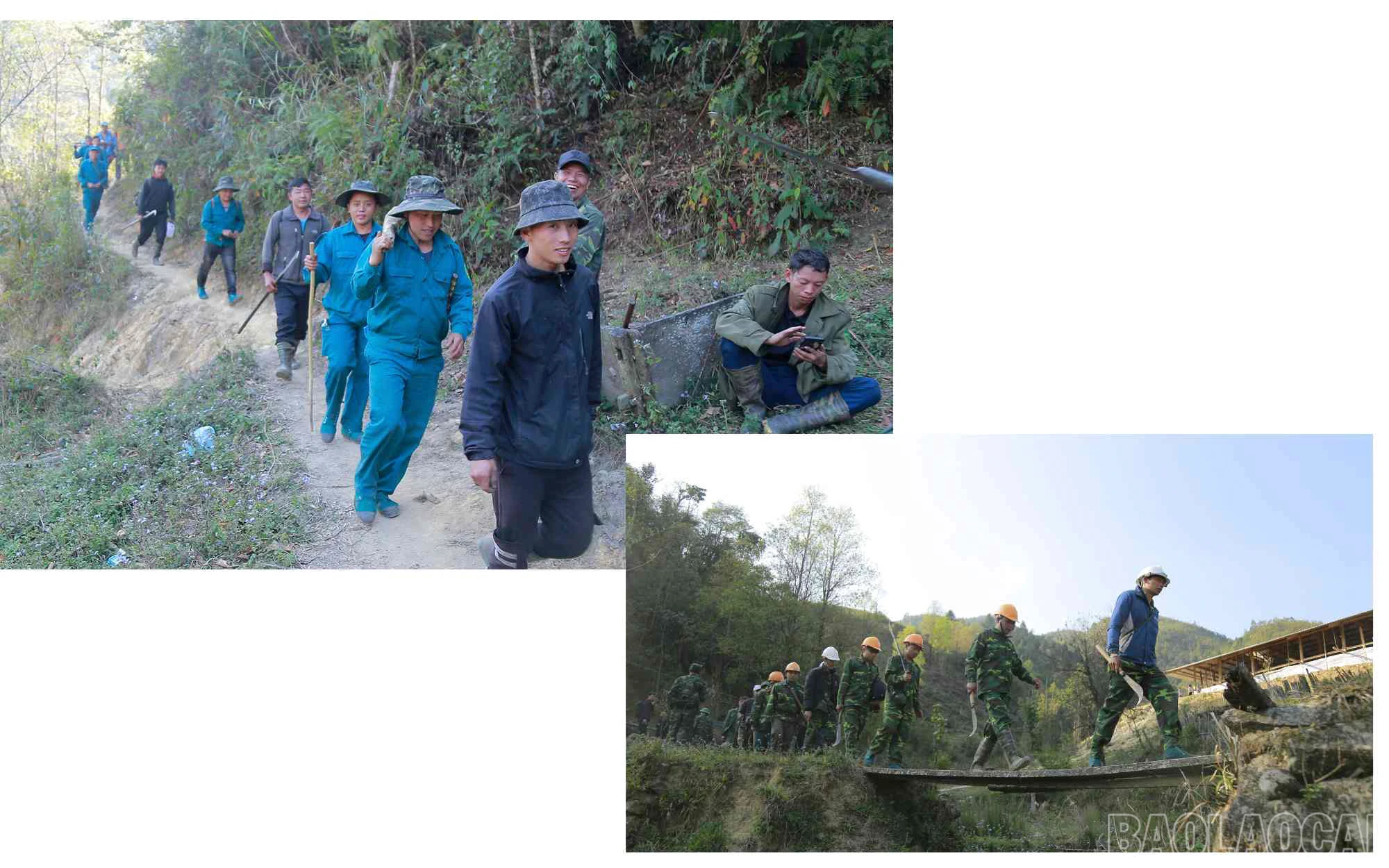 baolaocai_cc (18).jpg