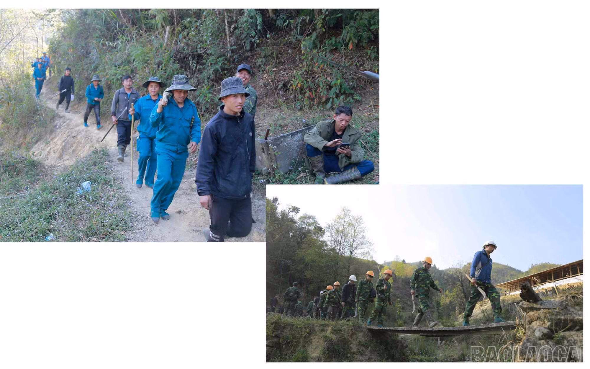 baolaocai_cc (18).jpg