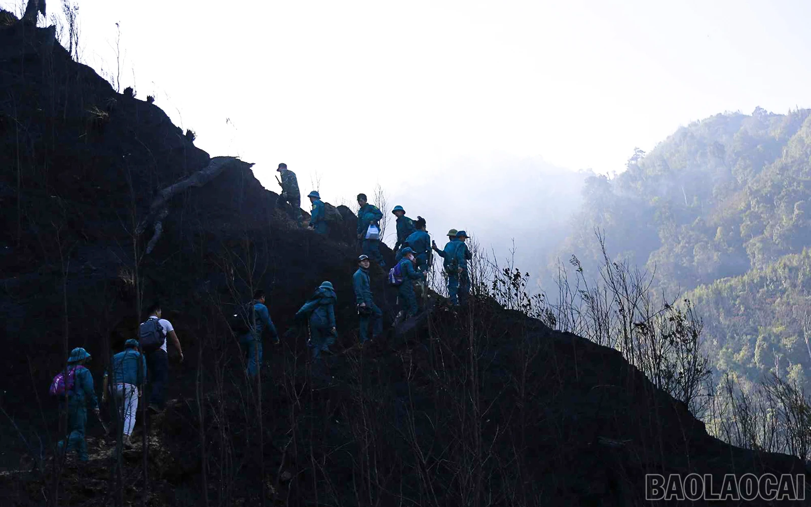 baolaocai_cc (3).jpg